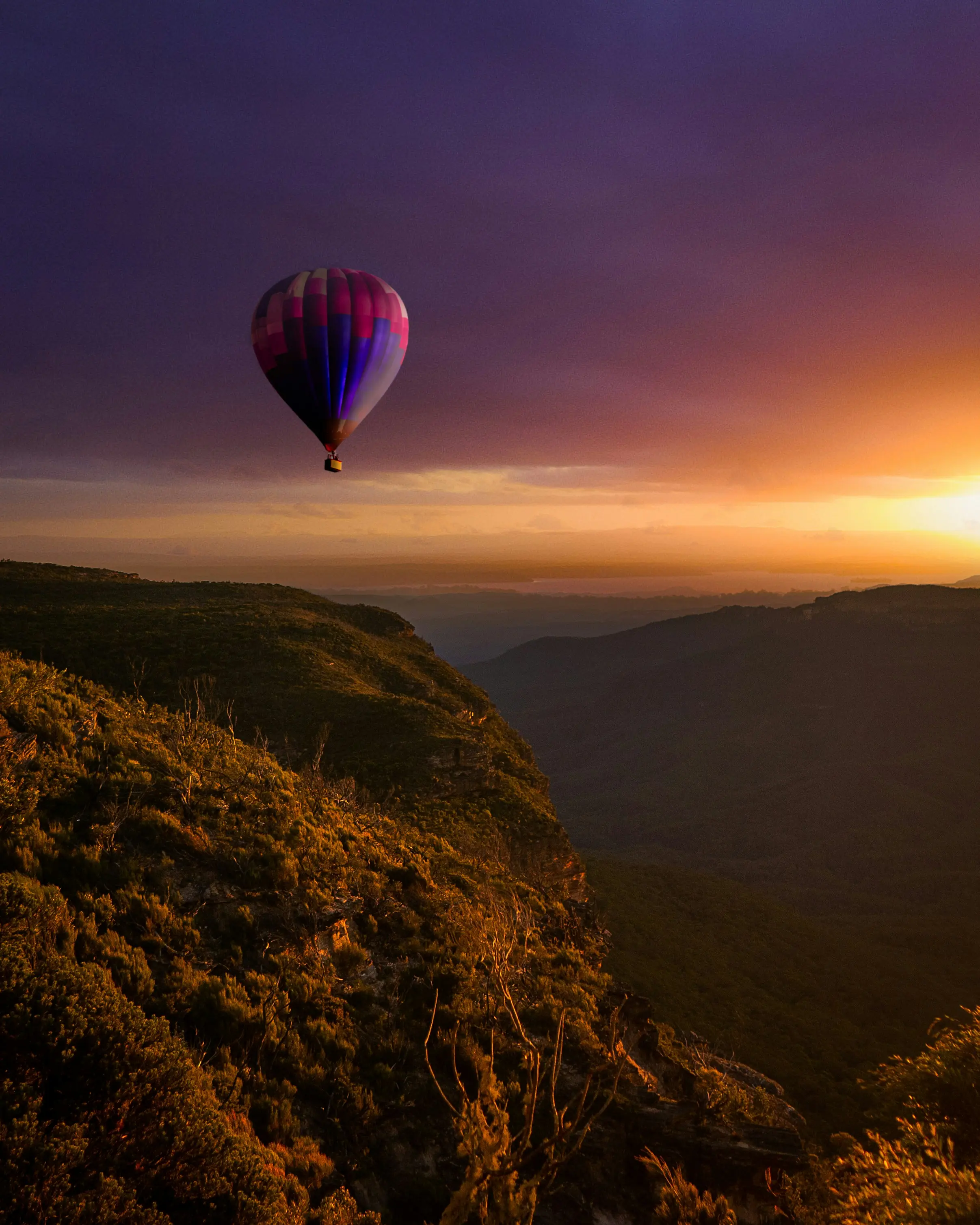 Hot air balloon over vineyards